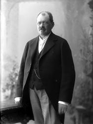 portrett, mann, stående knefigur