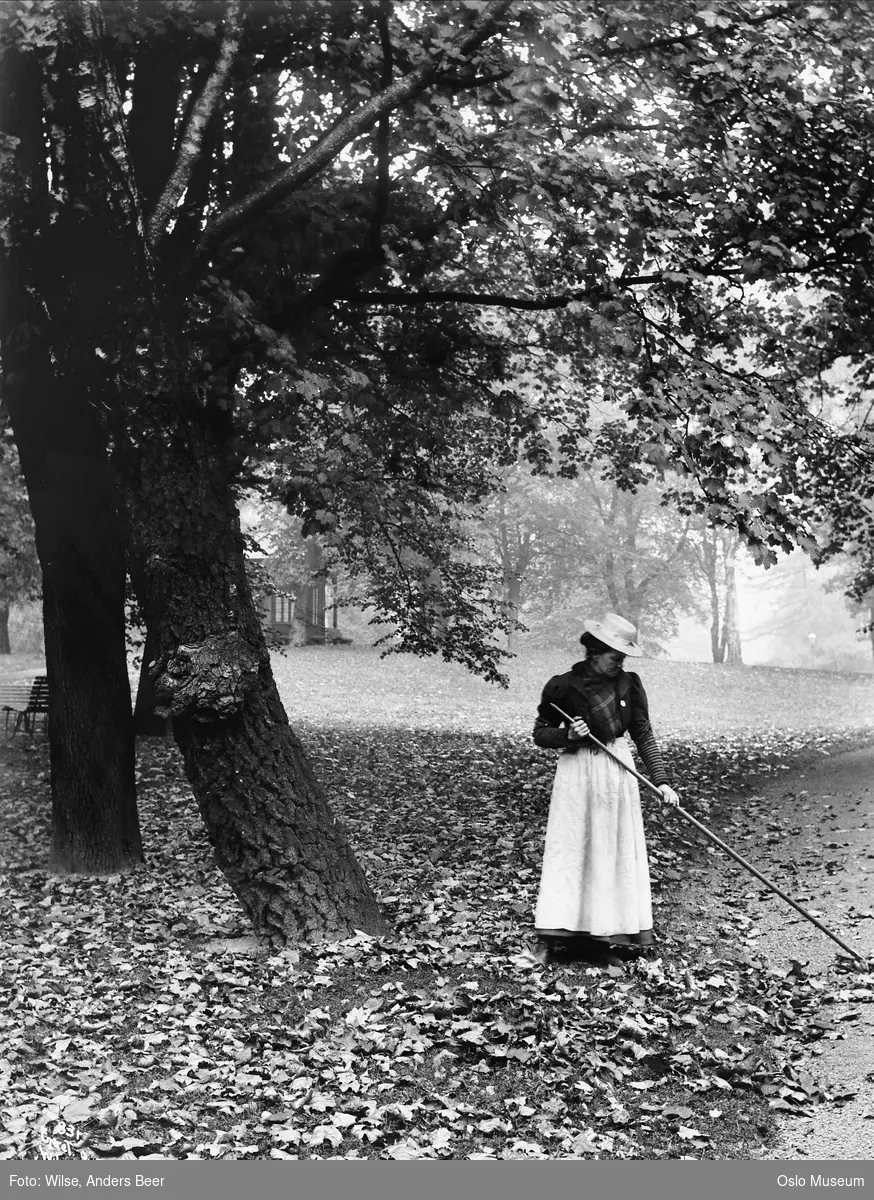 park, løvfall, kvinne, rive, løvraking, høststemning