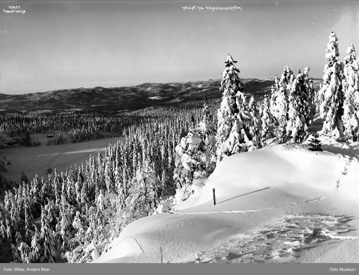 utsikt, skog, fjell, kulturlandskap, hytte, snø