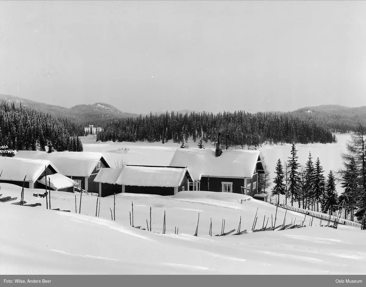 plass, bolighus, uthus, snø, skigard, skog