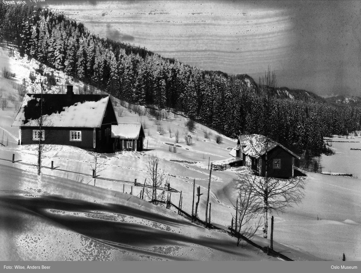 husmannsplass, snø, skog, gjerde