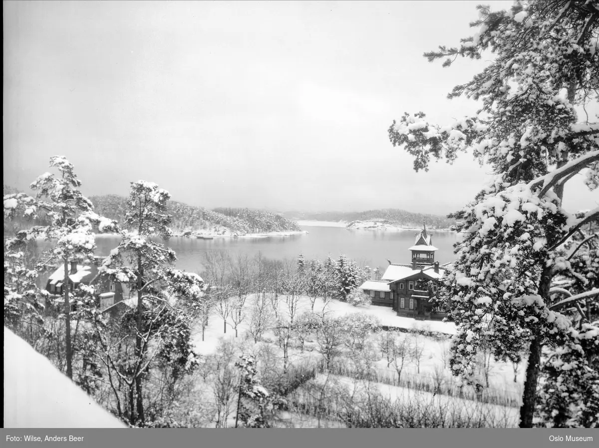 utsikt, furuskog, fjord, gård, bolighus, tårn, hage, snø