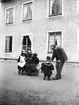 Signe, Carin, Elin, Olle, Ivar och Ruben Liljefors med hunden Jack, kvarteret Edda, Svartbäcksgatan 37, Uppsala 1900 - 1901