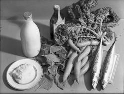 matvarer, melk, tran, grønnsaker, fisk, makrell