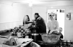 Reportagebilder från Tynderö om surströmming, sommarstugor o