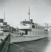 M/S FALKEN vid Träpiren, Gbg, juni 1948