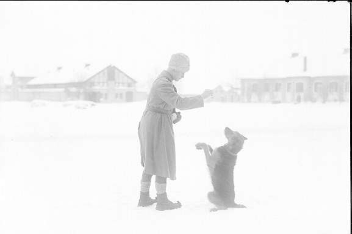 Löjtnant Stig Facht dresserar sin hund.