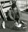 Stridssjukvårdstjänst ombord på kryssaren Tre Kronor, 1949. En man förbinder en 