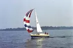 En Albin Vega seglar för spinnaker på Vänern.