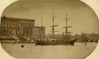 VEGAs ankomst till Stockholm efter fullbordandet av Nordostpassagen i april 1880.