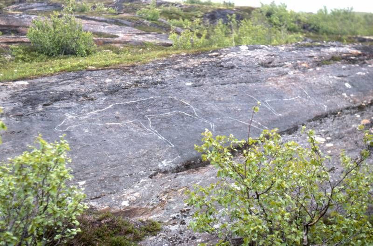 Narvik, Herjangen, Slettjord. Helleristninger.