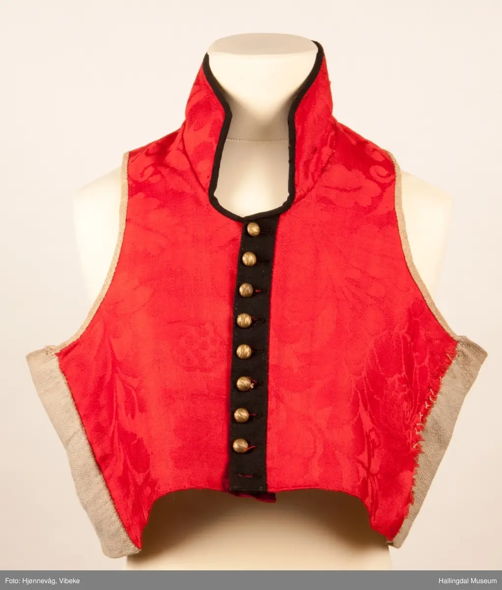 Vest