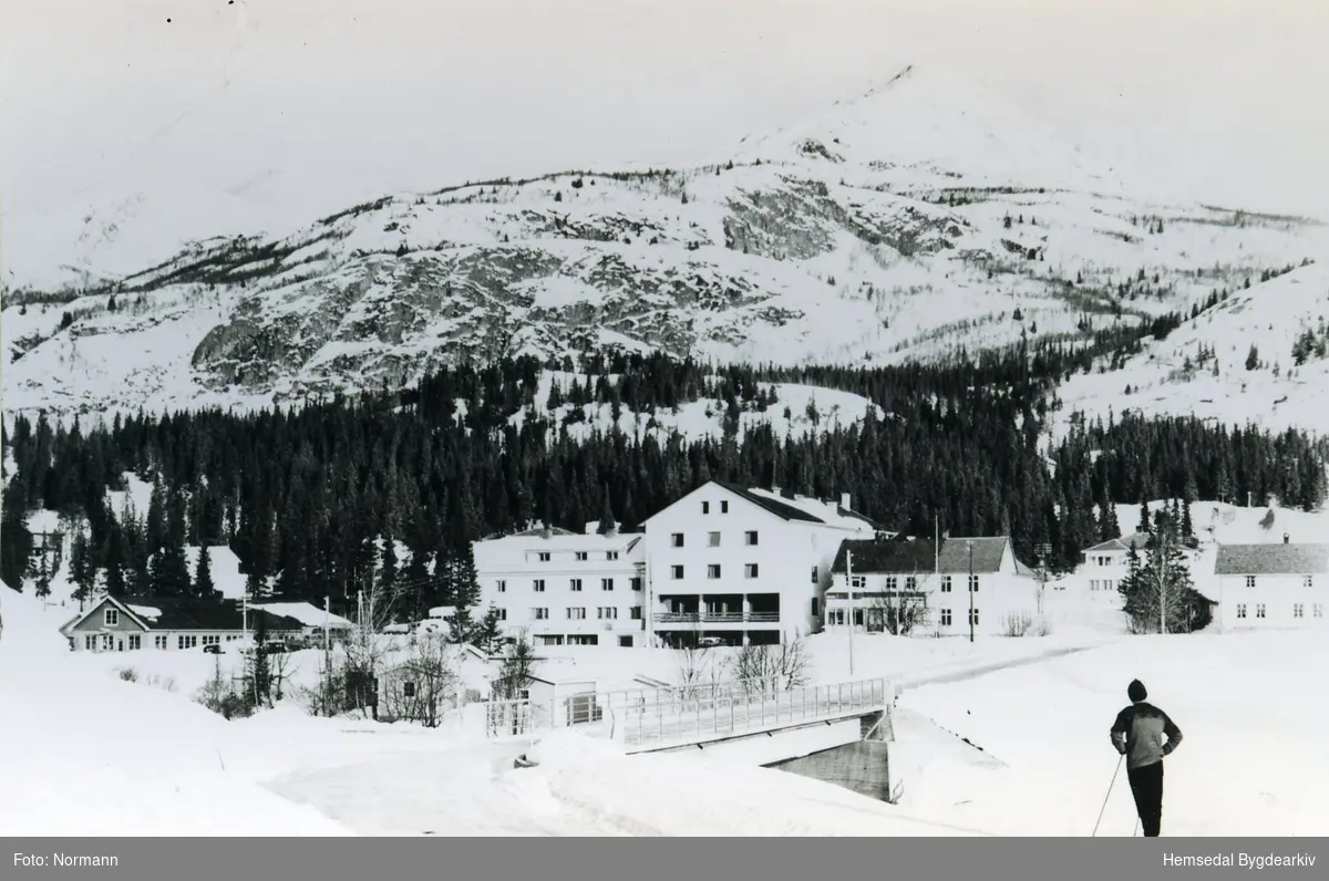 Skogstad Hotell i Hemsedal