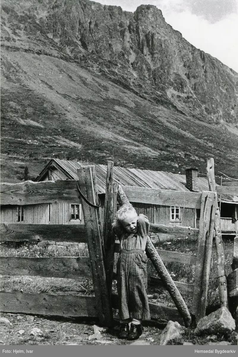 Prestegardshusvollen 59/3 i stølsområdet Løkenstølane i 1953.
Yngvar Hjelm