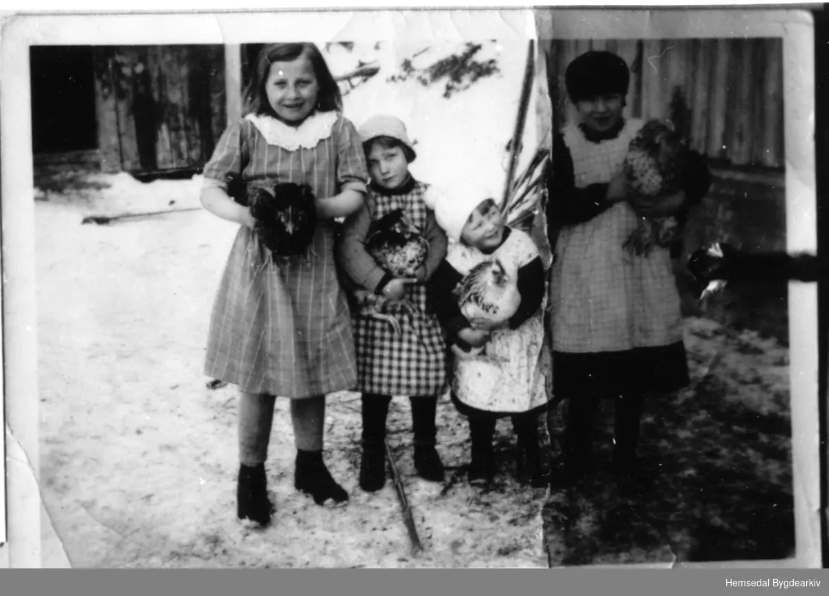 Jentene (Jentutn, dialekt) i Nordigarden i Grøndalen.
frå venstre: Gudrun, Olga, Astrid og Solveig.