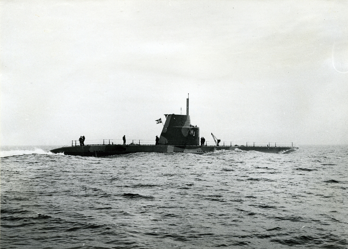 HAJEN (1954)
