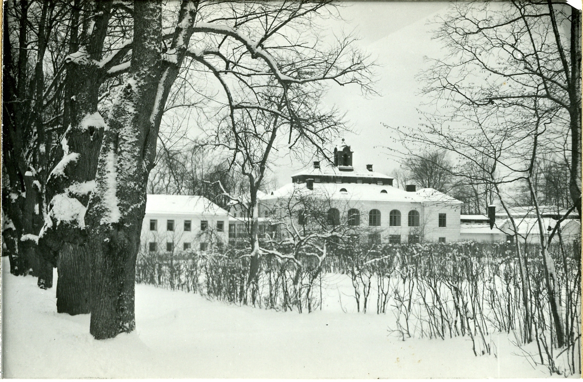 Näsby slott sett från parken.