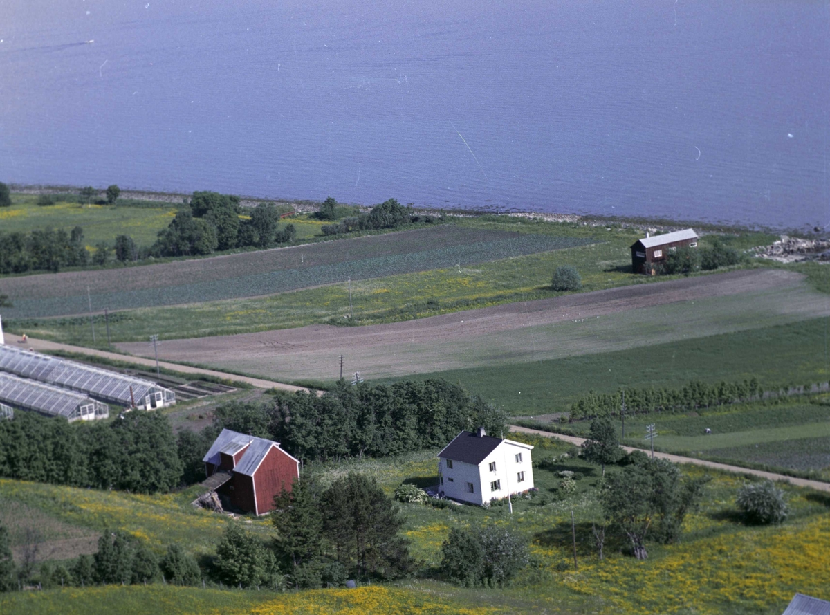 Flyfoto av hus og drivhus på Grytøy.