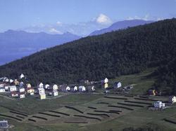 Flyfoto av Skogveien. Hesjer i forgrunnen.