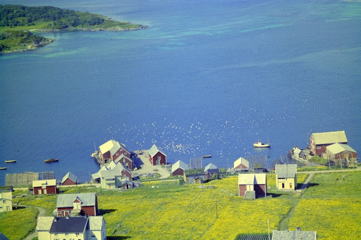 Flyfoto fra Grøtavær.