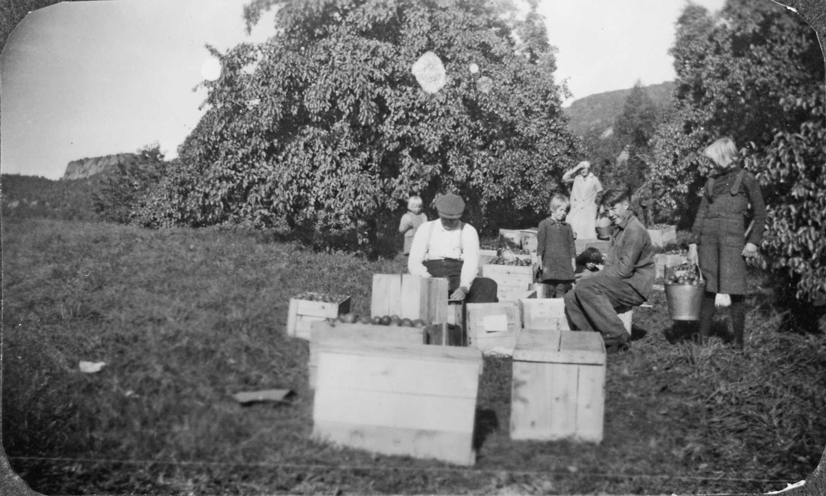 Frukhausting mennesker kassar