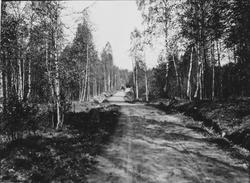Rømskog kommune
