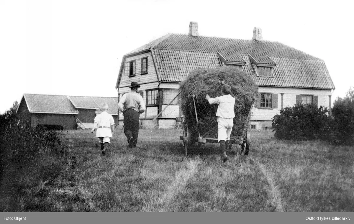 Høyonn på gården Nes i Rømskog 1909. Ant er det brødrene Axel og Thomas  i lyse dresser.