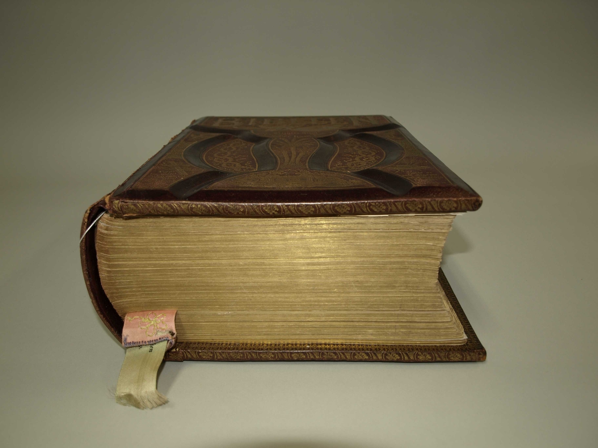 Stor og tung Bibel produsert og brukt opphaveleg i USA. Permen er tjukk og kanskje laga av tre med skinn (?) trekt utanpå. Det er fordjupningar i permen si framside. Bilete og tekst utanpå er forgylt. I Bibelen er det mange illustrasjoner og nokre sider er også i fargar. Det er også vigselsbevis/attest i den og dødsfall til eine eigar er oppført. Bakerst er det plass til fotografi, og det er fleire inni. Det ligg også ved to bokmerke, det eine brodert med initialar, og ein laus illustrasjon.