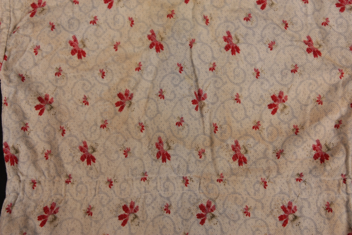 Blomster med raude kronblad, lyseblå halvsirklar.