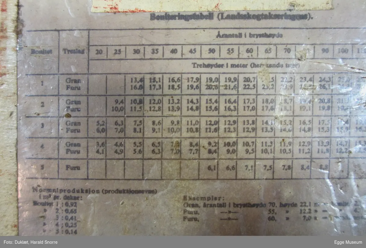 Rektangulær finerplate. Påmontert boniteringsskjema for øvelser i skogtaksering ved Skogskolen fra ca. 1970? Skjema festet med fryseteip.