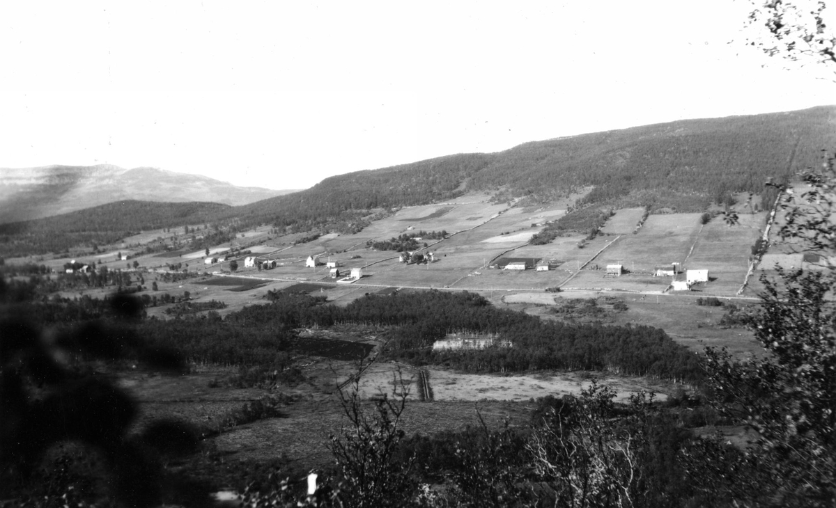 Landskapsbilde av Kilhus, tatt fra Blåbærhaugen.