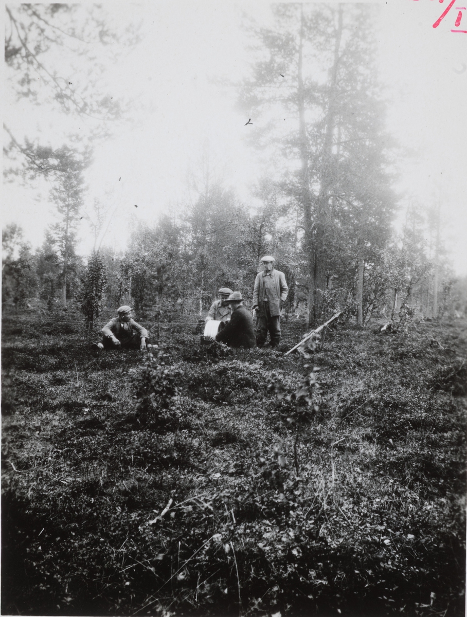 GEODESI. Basismåling: Målselv basis