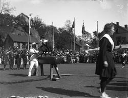 Stemmerettsjubileet 1913 - 2013 Telemark