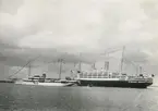 Passagerarmotorfartyget Kungsholm och HI - Esmaro vid Sandhamn år 1930