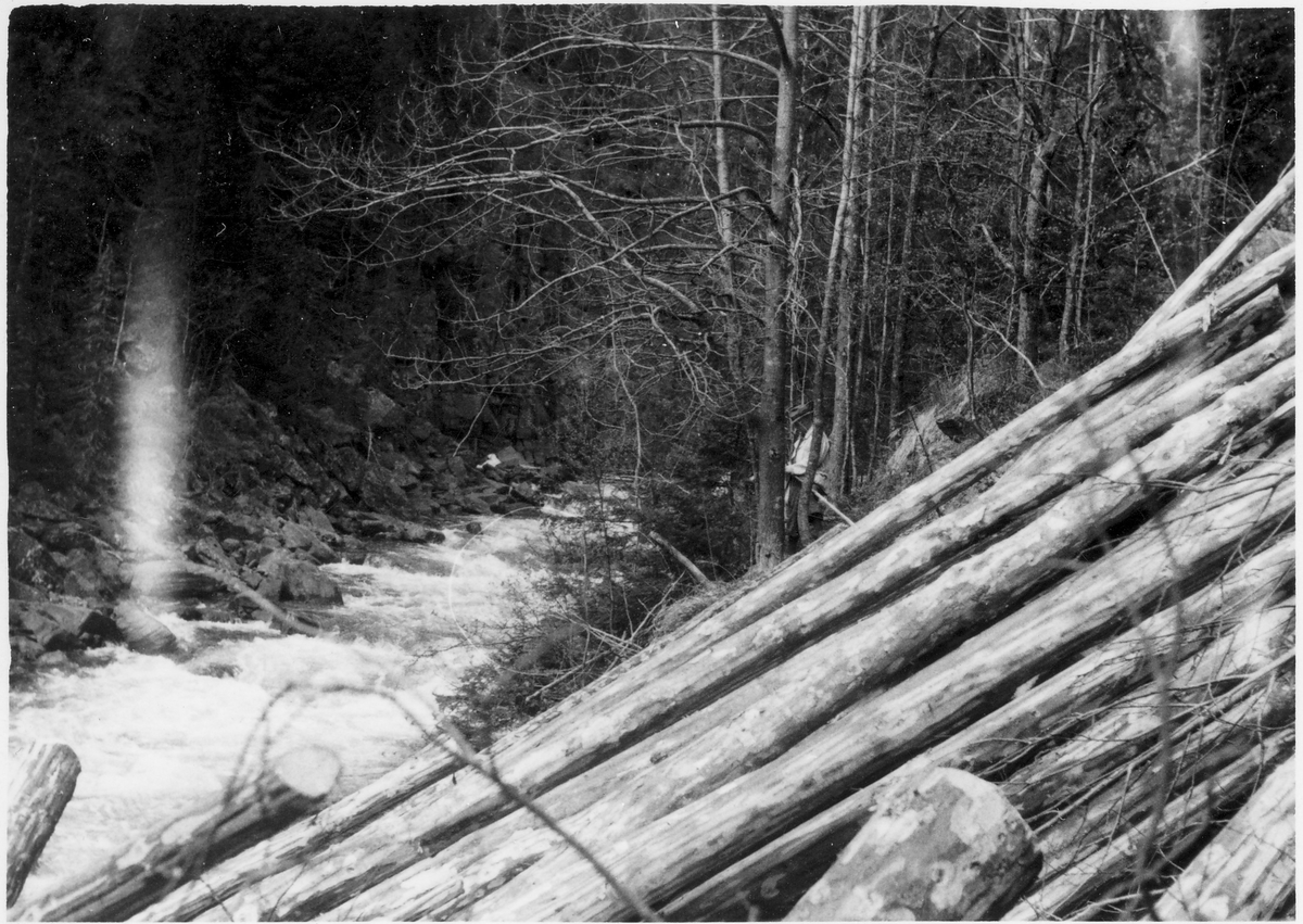 Skotvollkastet, Gjøyst, Tinn 1947. Tømmer i skråning

