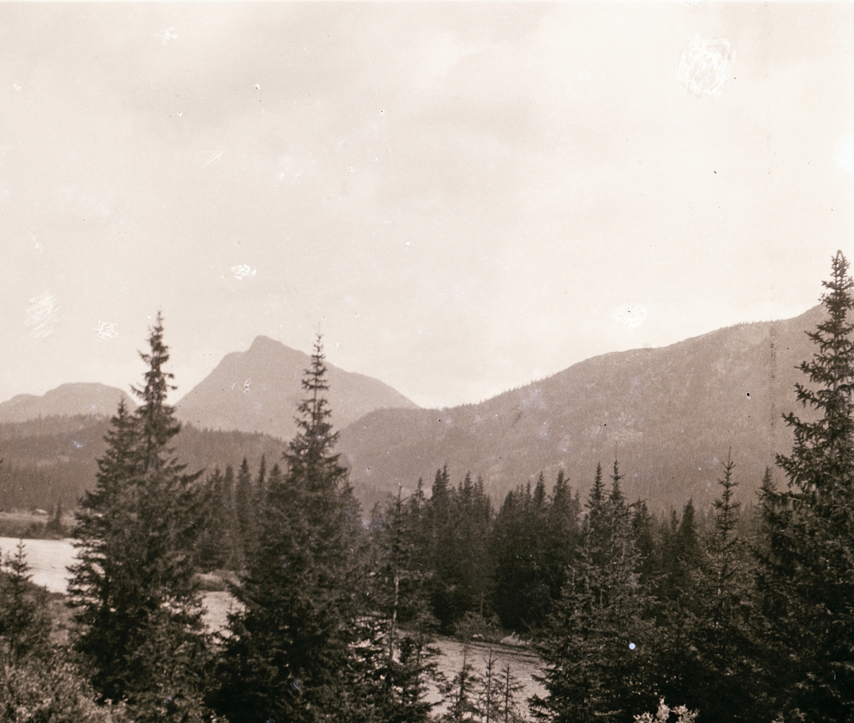 Elv i skogslandskap, fjell i bakgrunnen