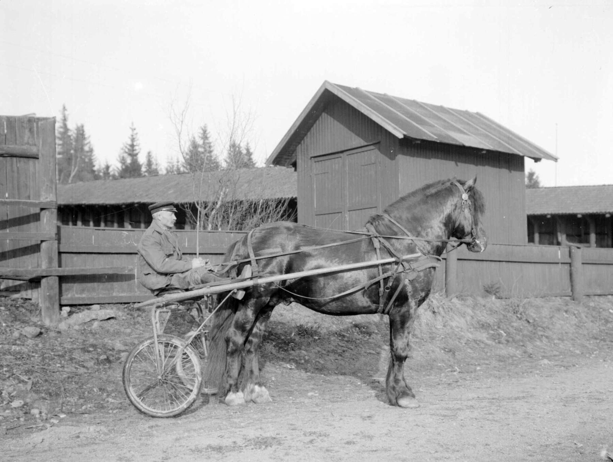 Hingsteutstilling på Smestadmoen. "Solungen". Bygninger.