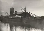 Lastångfartyget SKODSBORG av Köpenhamn lossande props i Sunderland. Foto från 1920-talet.
