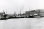 Vy av Kalmar hamn 1916. Vid kajen ligger fr. vänster: s/s Kalmarsund VII, s/s Kalmarsund nr. 6, s/s Kalmarsund VIII.