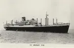 S.S. URUGUAY STAR.