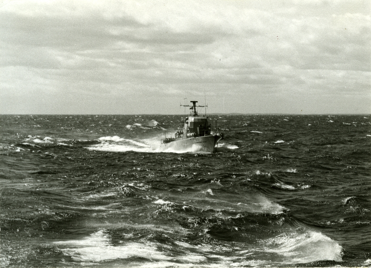 Torpedbåten Regulus (T 105).