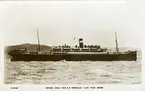 S.15445.British India CoÂ´s S.S. 