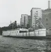 Vid Reimers Holme, Stockholm 18.10.1947