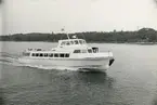 M/S Sjögull utanför kvarnen Tre Kronor, Manilla på Djurgården i bakgrunden.