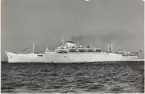Foto från 1959 visande turist&passagerarmotorfartyget AFRIKA av Trieste under gång