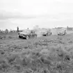 Bilrace på Grunnebo sydväst om Vänersborg i maj 1960