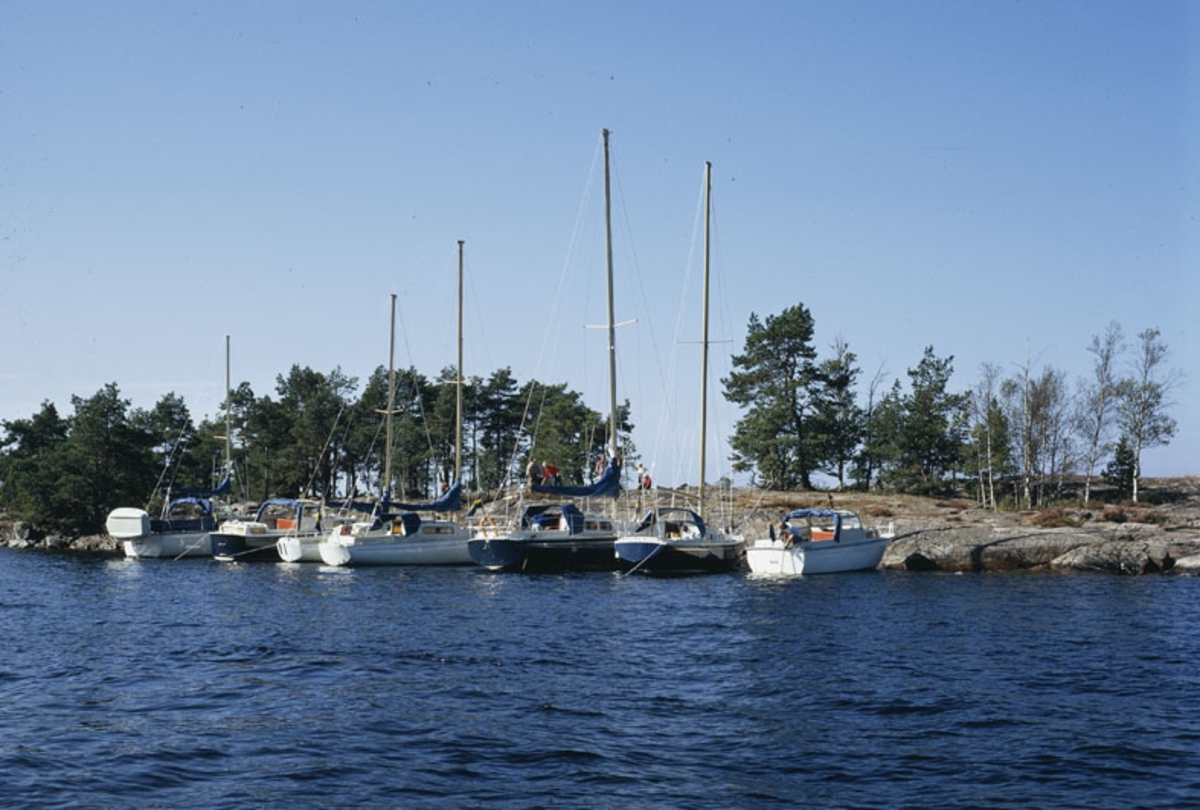 Albin-båtar förtöjda vid holme. Marknadsföringsbild.