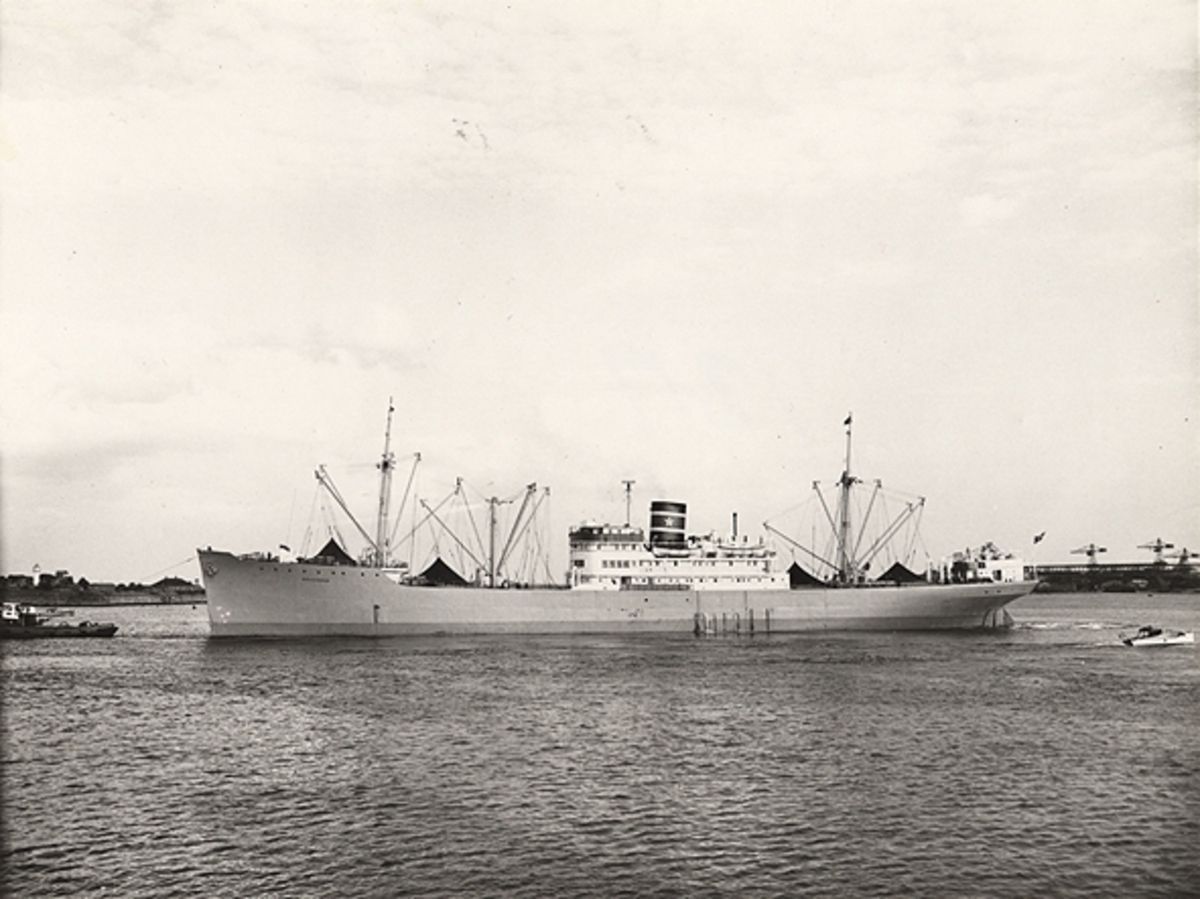 Foto i svartvitt visande lastmotorfartyget "AMAZONAS". Foto från Köpenhamn år 1960.