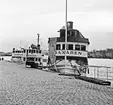 S/S SAXAREN, SAGAN och SANDÖN vid Strandvägskajen, Stockholm.