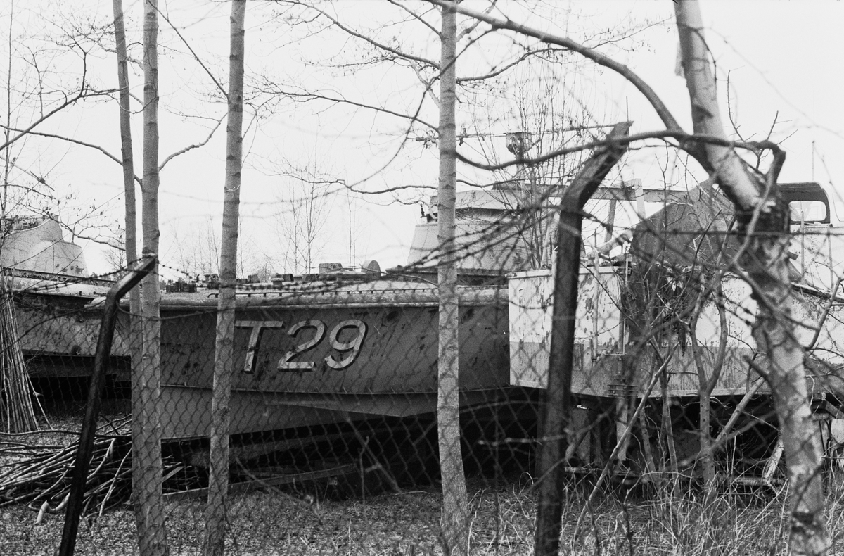 T 29 (1943)